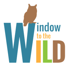 (c) Windowtothewild.org